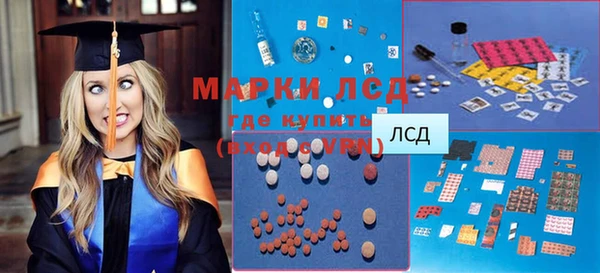 спиды Инта